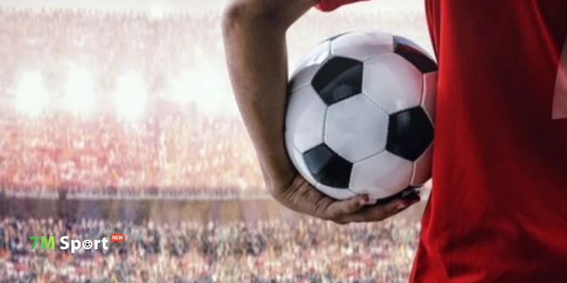 Bật mí lý do giúp 7M thu hút hàng nghìn lượt truy cập mỗi giờ