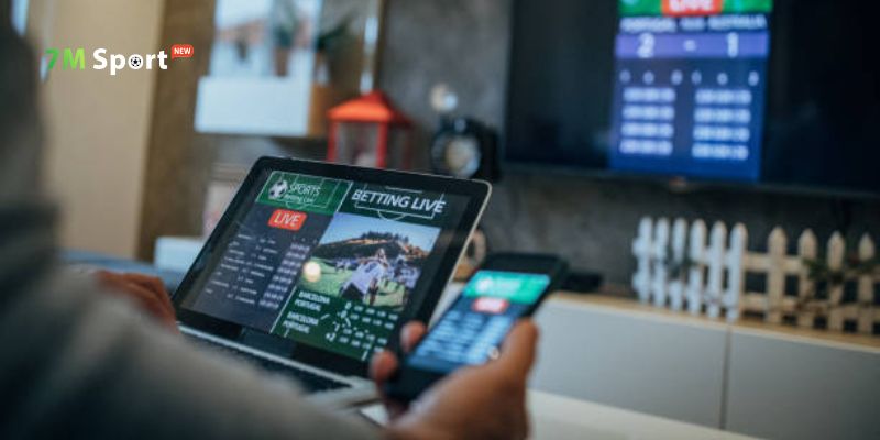 Giải đáp nhanh các thắc mắc phổ biến tại 7M