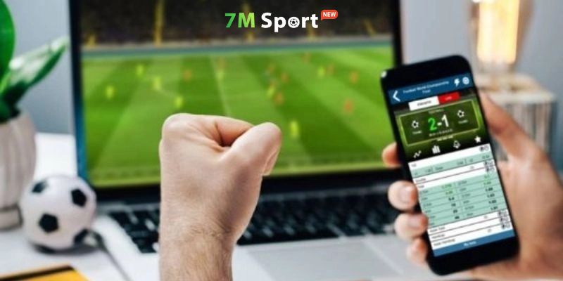 Nhiều người hâm mộ đã gắn bó cùng 7M 7MCN 7M CN hàng thập kỷ